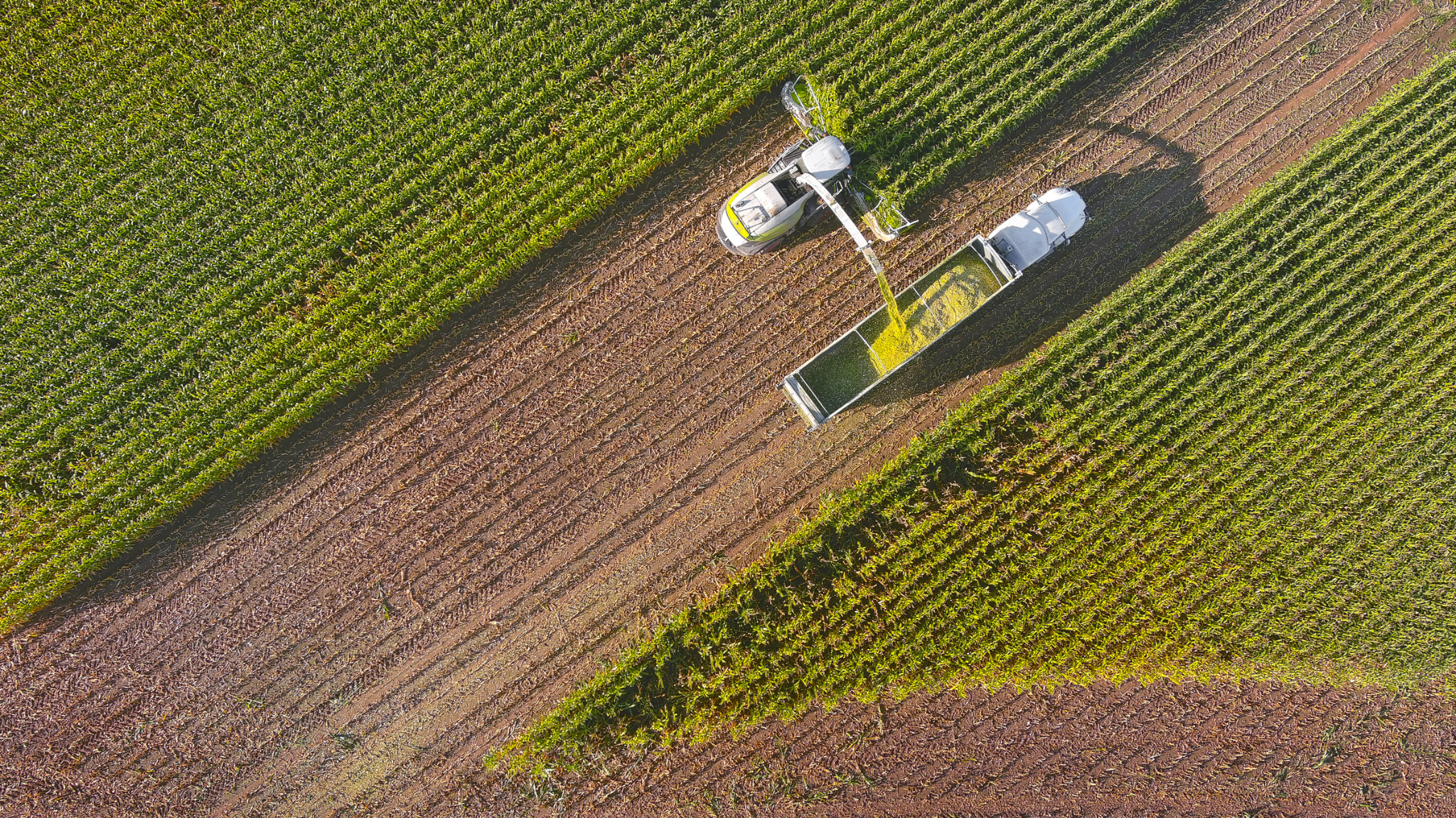 Campo productivo visto desde arriba