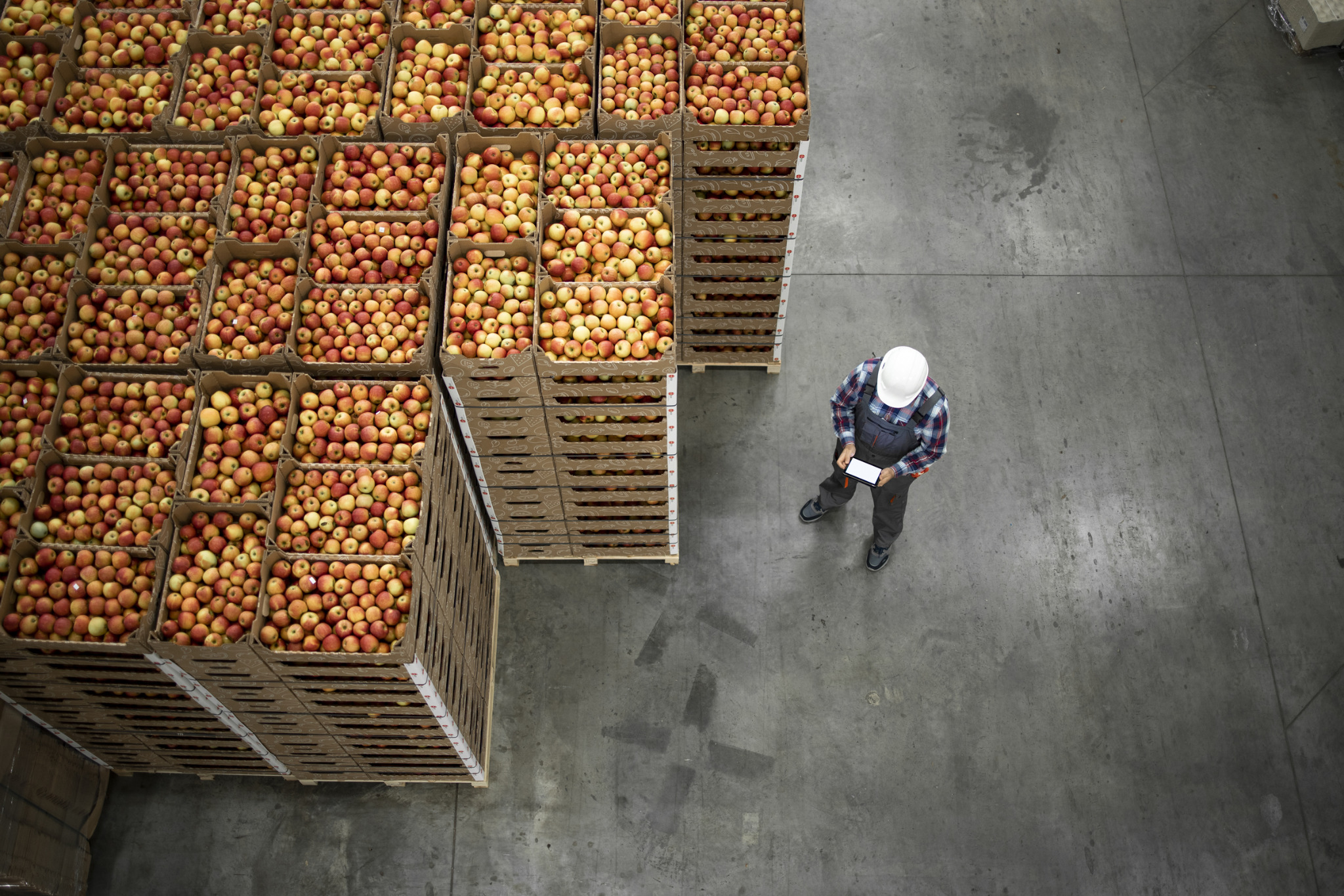 Centro logístico con cajas de manzanas